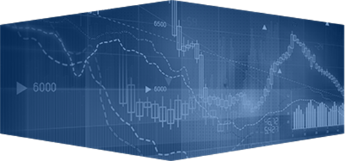 固定资产的入账价值应当分项确定